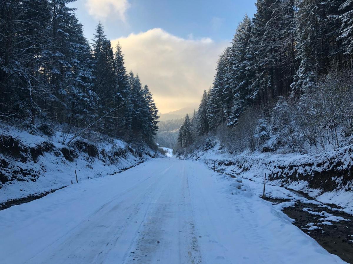 Апартаменти Олівія Skhidnytsia Eksteriør bilde
